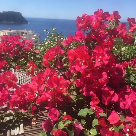 Stefanel View-frederika Casa vacanze *