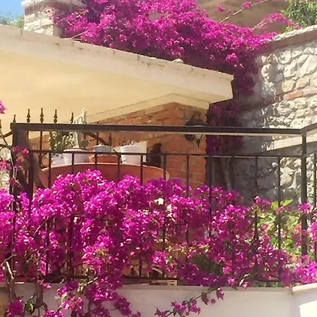 Stefanel View-frederika *