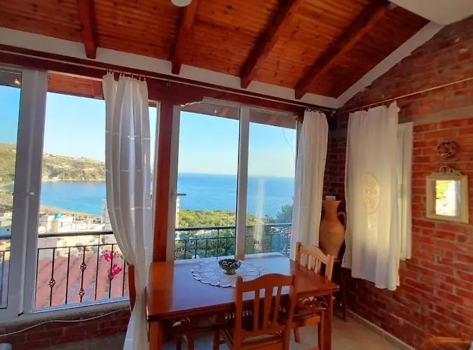 Stefanel View-frederika