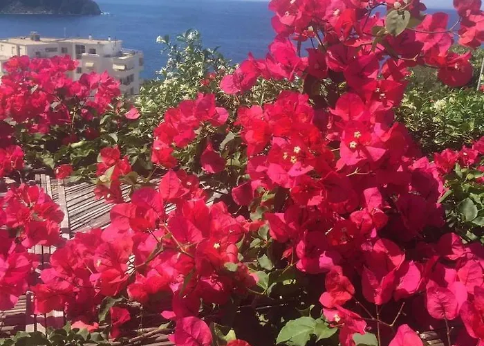 Stefanel View-frederika Holiday home *